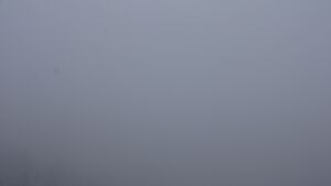 Dieses Bild zeigt eine Webcam-Aufnahme vom Achertal, aufgenommen am Freitag, den 30.01.2026 um 14:40 Uhr. Die Temperatur betrug 0.2°C.