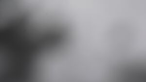 Dieses Bild zeigt eine Webcam-Aufnahme vom Achertal, aufgenommen am Donnerstag, den 20.11.2025 um 11:30 Uhr. Die Temperatur betrug -3.2°C.