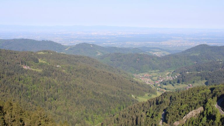 Dieses Bild zeigt eine Webcam-Aufnahme vom Achertal, aufgenommen am Montag, den 12.05.2025 um 08:20 Uhr. Die Temperatur betrug 14°C.