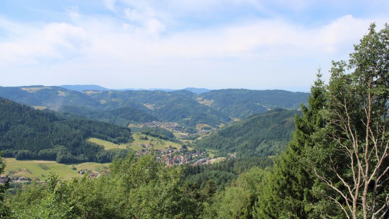 Dieses Bild zeigt eine Webcam-Aufnahme vom Achertal, aufgenommen am Montag, den 13.07.2026 um 11:30 Uhr. Die Temperatur betrug 26°C.