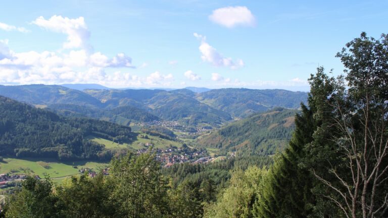 Dieses Bild zeigt eine Webcam-Aufnahme vom Achertal, aufgenommen am Montag, den 14.09.2026 um 11:20 Uhr. Die Temperatur betrug 20.5°C.