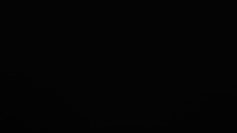 Dieses Bild zeigt eine Webcam-Aufnahme vom Achertal, aufgenommen am Freitag, den 02.01.2026 um 06:50 Uhr. Die Temperatur betrug -4.5°C.