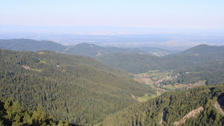 Dieses Bild zeigt eine Webcam-Aufnahme vom Achertal, aufgenommen am Montag, den 25.08.2025 um 08:30 Uhr. Die Temperatur betrug 12.6°C.