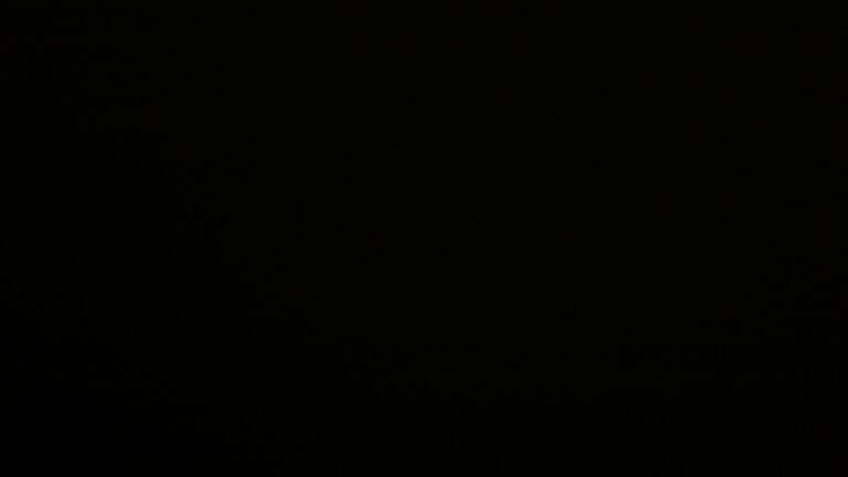 Dieses Bild zeigt eine Webcam-Aufnahme vom Achertal, aufgenommen am Samstag, den 29.11.2025 um 05:50 Uhr. Die Temperatur betrug 3.9°C.