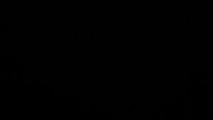 Dieses Bild zeigt eine Webcam-Aufnahme vom Achertal, aufgenommen am Sonntag, den 22.02.2026 um 23:30 Uhr. Die Temperatur betrug 4.6°C.