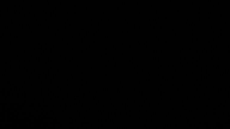 Dieses Bild zeigt eine Webcam-Aufnahme vom Achertal, aufgenommen am Sonntag, den 22.02.2026 um 23:30 Uhr. Die Temperatur betrug 4.6°C.