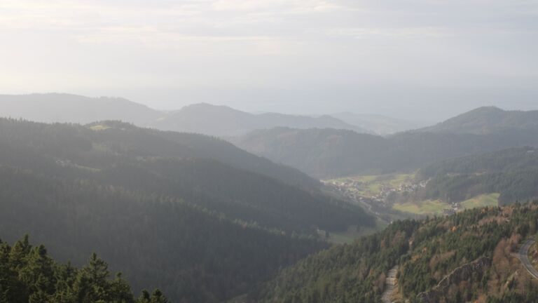 Dieses Bild zeigt eine Webcam-Aufnahme vom Achertal, aufgenommen am Samstag, den 15.11.2025 um 15:00 Uhr. Die Temperatur betrug 11.3°C.