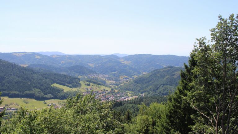 Dieses Bild zeigt eine Webcam-Aufnahme vom Achertal, aufgenommen am Montag, den 20.07.2026 um 14:20 Uhr. Die Temperatur betrug 23.2°C.