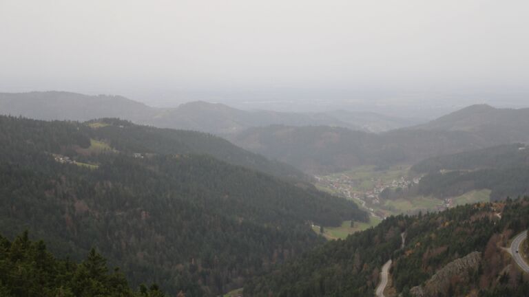 Dieses Bild zeigt eine Webcam-Aufnahme vom Achertal, aufgenommen am Freitag, den 14.11.2025 um 08:40 Uhr. Die Temperatur betrug 16.8°C.