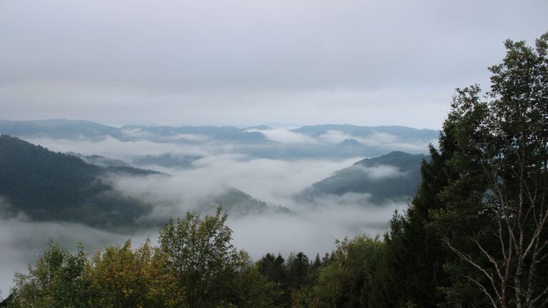 Dieses Bild zeigt eine Webcam-Aufnahme vom Achertal, aufgenommen am Montag, den 19.10.2026 um 08:50 Uhr. Die Temperatur betrug 8.8°C.
