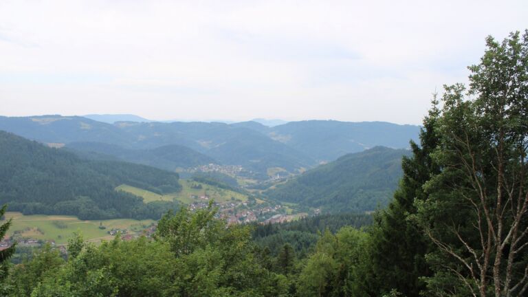 Dieses Bild zeigt eine Webcam-Aufnahme vom Achertal, aufgenommen am Mittwoch, den 15.07.2026 um 11:10 Uhr. Die Temperatur betrug 19.6°C.
