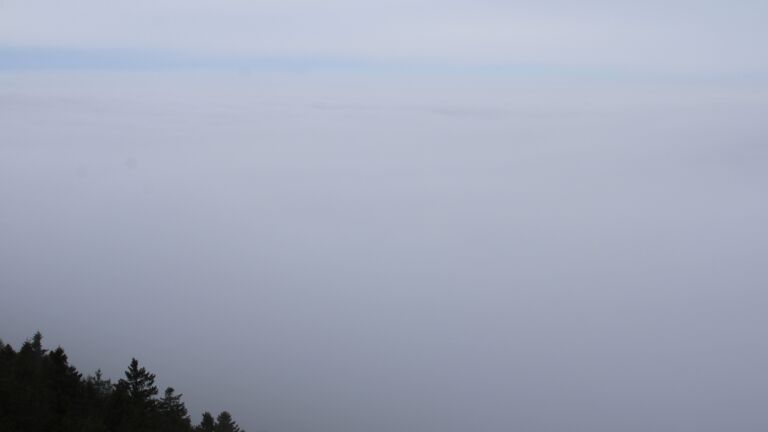 Dieses Bild zeigt eine Webcam-Aufnahme vom Achertal, aufgenommen am Sonntag, den 25.01.2026 um 10:50 Uhr. Die Temperatur betrug 2°C.