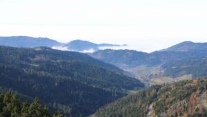 Dieses Bild zeigt eine Webcam-Aufnahme vom Achertal, aufgenommen am Montag, den 10.11.2025 um 12:10 Uhr. Die Temperatur betrug 7.9°C.