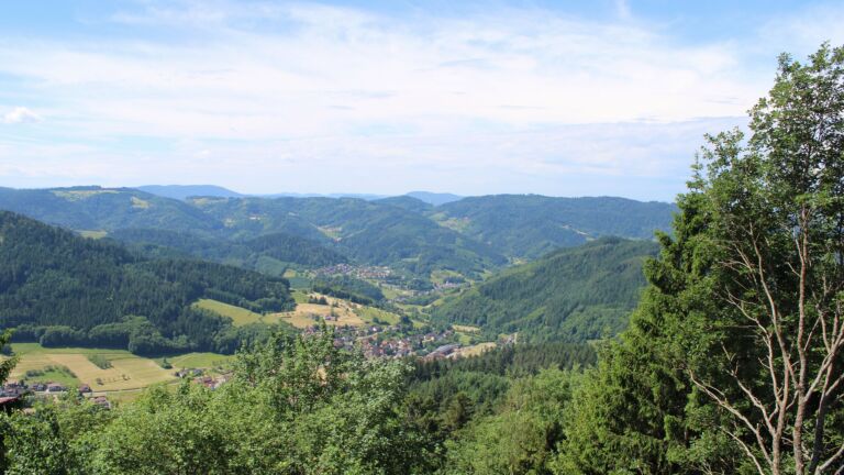 Dieses Bild zeigt eine Webcam-Aufnahme vom Achertal, aufgenommen am Dienstag, den 02.06.2026 um 11:50 Uhr. Die Temperatur betrug 20.8°C.