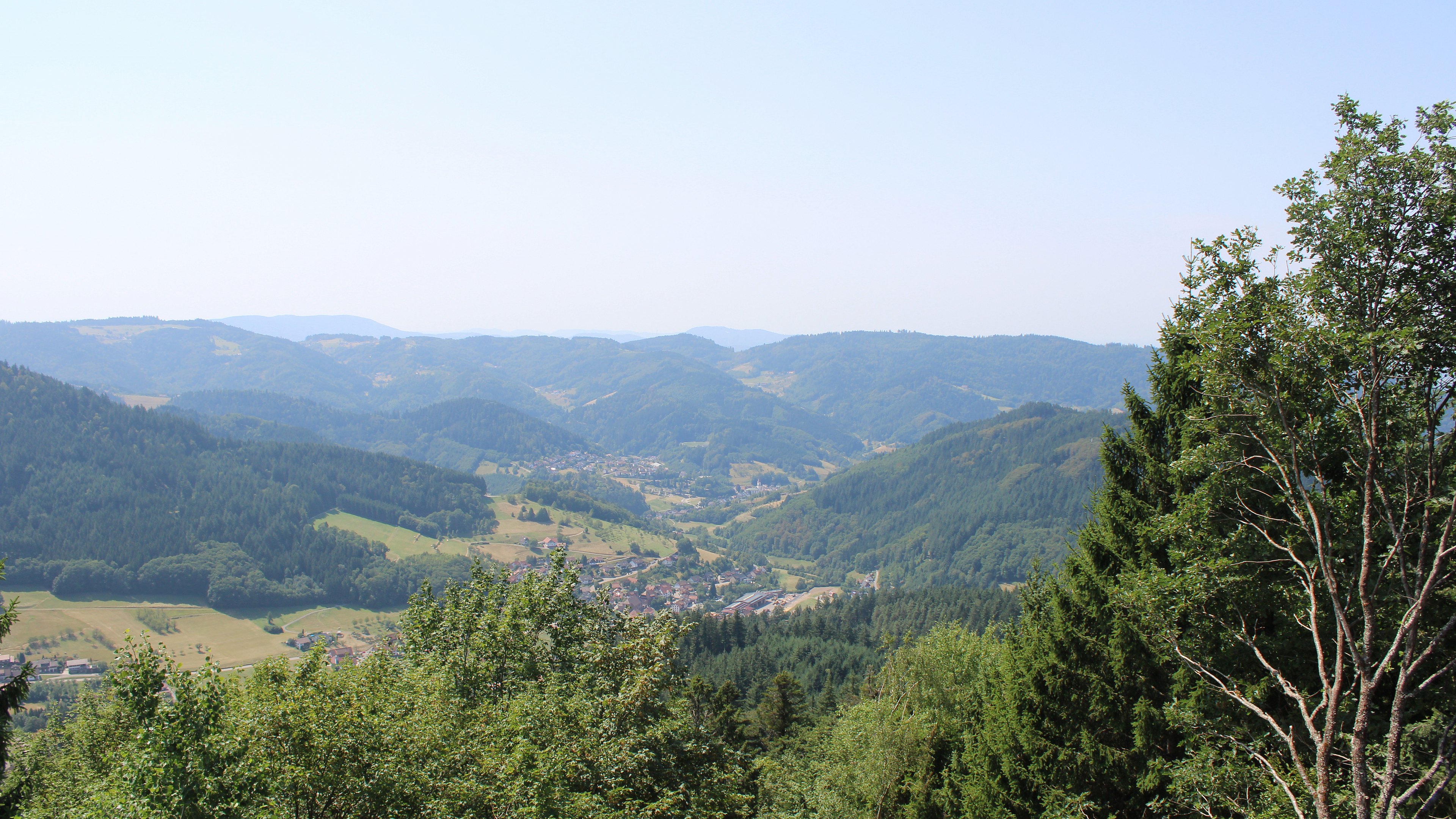 Zum Fotoarchiv vom Dienstag, 4. August 2026