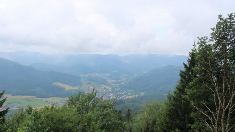 Dieses Bild zeigt eine Webcam-Aufnahme vom Achertal, aufgenommen am Mittwoch, den 01.07.2026 um 11:30 Uhr. Die Temperatur betrug 18.2°C.