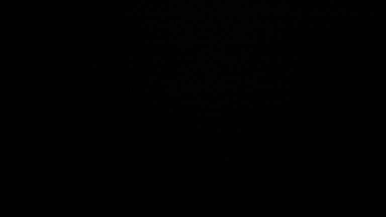 Dieses Bild zeigt eine Webcam-Aufnahme vom Achertal, aufgenommen am Mittwoch, den 22.10.2025 um 02:30 Uhr. Die Temperatur betrug 8.4°C.