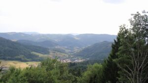 Dieses Bild zeigt eine Webcam-Aufnahme vom Achertal, aufgenommen am Montag, den 10.08.2026 um 17:20 Uhr. Die Temperatur betrug 31.7°C.
