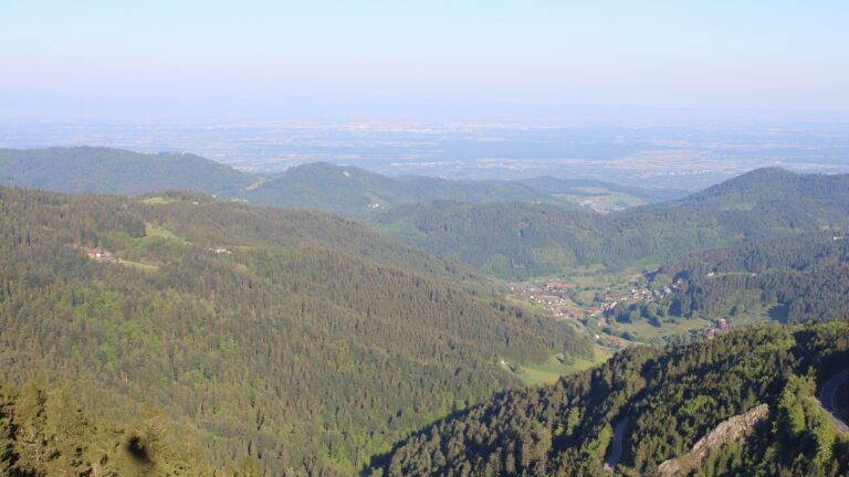 Dieses Bild zeigt eine Webcam-Aufnahme vom Achertal, aufgenommen am Sonntag, den 11.05.2025 um 07:50 Uhr. Die Temperatur betrug 10.8°C.