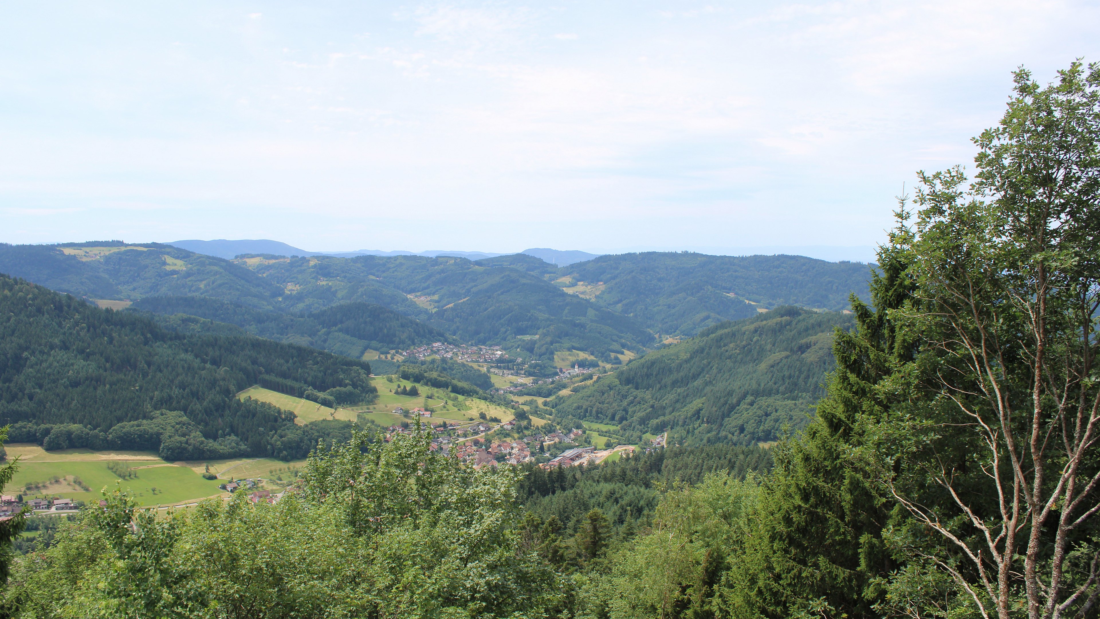 Zum Fotoarchiv vom Dienstag, 7. Juli 2026