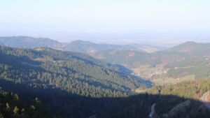 Dieses Bild zeigt eine Webcam-Aufnahme vom Achertal, aufgenommen am Dienstag, den 03.03.2026 um 08:30 Uhr. Die Temperatur betrug 8.2°C.