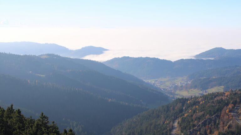 Dieses Bild zeigt eine Webcam-Aufnahme vom Achertal, aufgenommen am Samstag, den 08.11.2025 um 14:30 Uhr. Die Temperatur betrug 9.8°C.