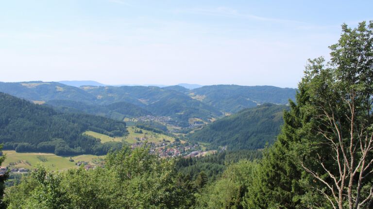 Dieses Bild zeigt eine Webcam-Aufnahme vom Achertal, aufgenommen am Dienstag, den 14.07.2026 um 12:20 Uhr. Die Temperatur betrug 25.6°C.