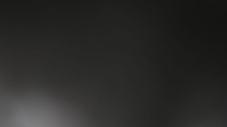 Dieses Bild zeigt eine Webcam-Aufnahme vom Achertal, aufgenommen am Montag, den 05.01.2026 um 04:30 Uhr. Die Temperatur betrug -7.7°C.