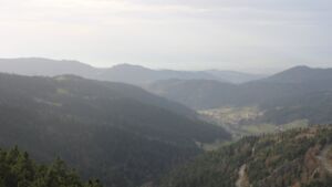 Dieses Bild zeigt eine Webcam-Aufnahme vom Achertal, aufgenommen am Samstag, den 15.11.2025 um 14:50 Uhr. Die Temperatur betrug 11°C.