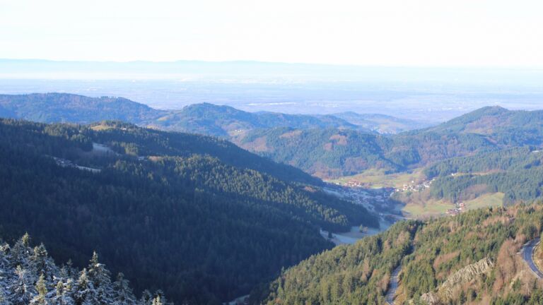 Dieses Bild zeigt eine Webcam-Aufnahme vom Achertal, aufgenommen am Montag, den 01.12.2025 um 10:50 Uhr. Die Temperatur betrug 4.8°C.