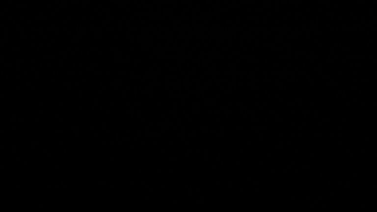 Dieses Bild zeigt eine Webcam-Aufnahme vom Achertal, aufgenommen am Dienstag, den 24.02.2026 um 04:00 Uhr. Die Temperatur betrug 4.8°C.