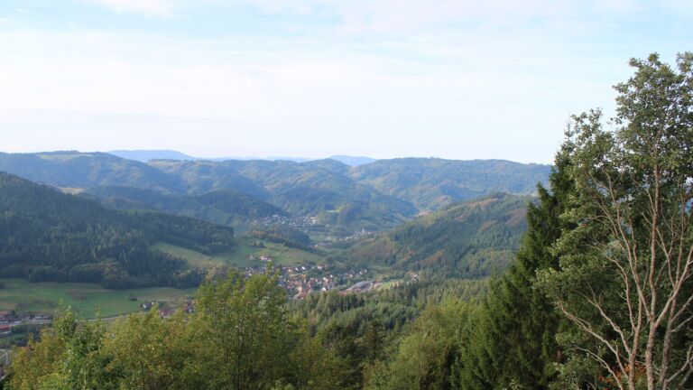 Dieses Bild zeigt eine Webcam-Aufnahme vom Achertal, aufgenommen am Samstag, den 03.10.2026 um 09:50 Uhr. Die Temperatur betrug 17°C.