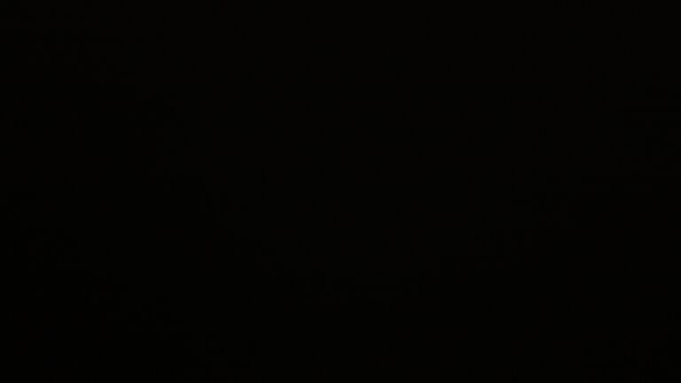 Dieses Bild zeigt eine Webcam-Aufnahme vom Achertal, aufgenommen am Donnerstag, den 21.08.2025 um 04:50 Uhr. Die Temperatur betrug 13°C.
