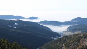 Dieses Bild zeigt eine Webcam-Aufnahme vom Achertal, aufgenommen am Mittwoch, den 21.01.2026 um 14:10 Uhr. Die Temperatur betrug 7.9°C.