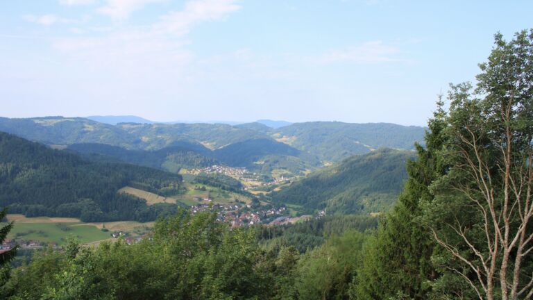 Dieses Bild zeigt eine Webcam-Aufnahme vom Achertal, aufgenommen am Dienstag, den 30.06.2026 um 08:50 Uhr. Die Temperatur betrug 23°C.