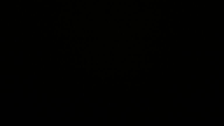 Dieses Bild zeigt eine Webcam-Aufnahme vom Achertal, aufgenommen am Mittwoch, den 19.11.2025 um 22:30 Uhr. Die Temperatur betrug -2.1°C.