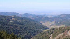 Dieses Bild zeigt eine Webcam-Aufnahme vom Achertal, aufgenommen am Dienstag, den 03.03.2026 um 10:50 Uhr. Die Temperatur betrug 11.8°C.