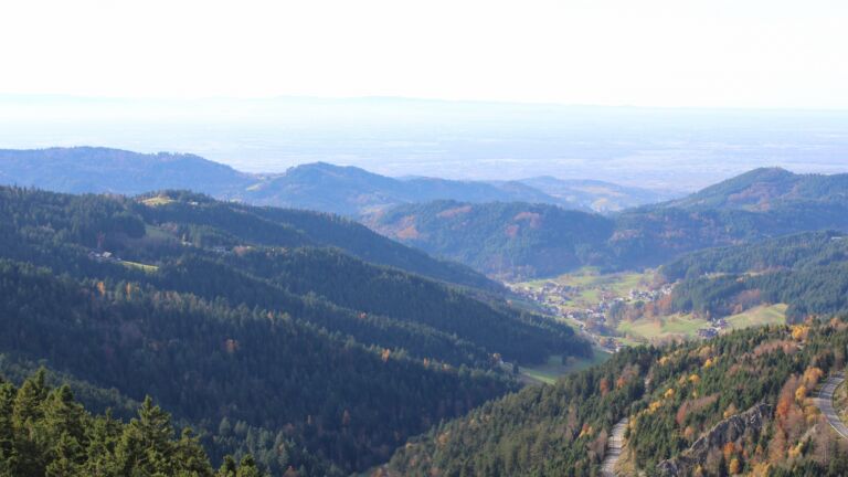 Dieses Bild zeigt eine Webcam-Aufnahme vom Achertal, aufgenommen am Dienstag, den 04.11.2025 um 14:20 Uhr. Die Temperatur betrug 12°C.