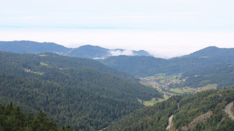 Dieses Bild zeigt eine Webcam-Aufnahme vom Achertal, aufgenommen am Mittwoch, den 10.09.2025 um 11:30 Uhr. Die Temperatur betrug 12.2°C.