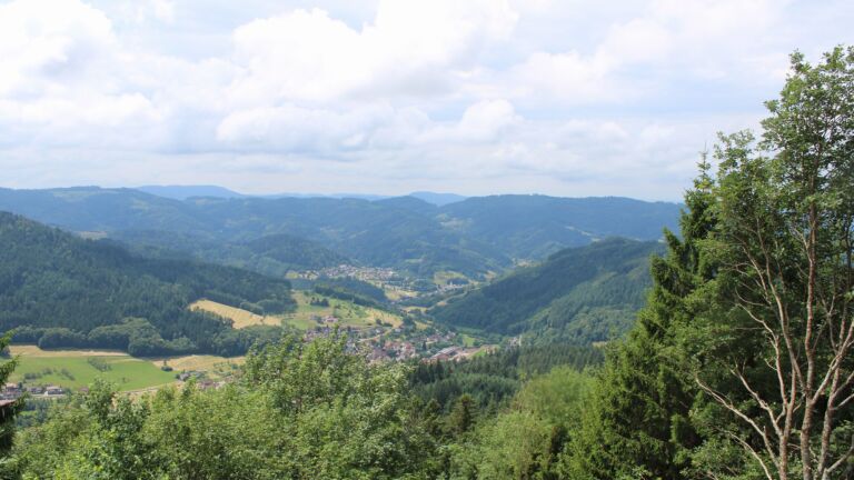 Dieses Bild zeigt eine Webcam-Aufnahme vom Achertal, aufgenommen am Montag, den 29.06.2026 um 12:50 Uhr. Die Temperatur betrug 23.9°C.