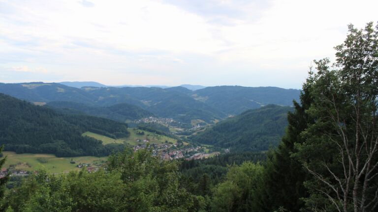 Dieses Bild zeigt eine Webcam-Aufnahme vom Achertal, aufgenommen am Freitag, den 17.07.2026 um 19:30 Uhr. Die Temperatur betrug 24.1°C.