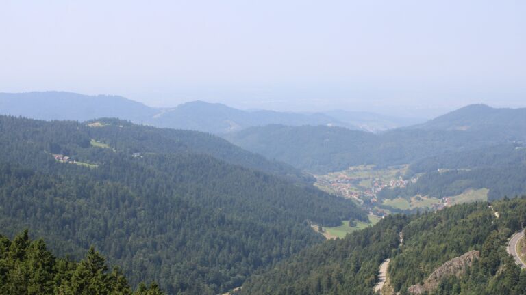 Dieses Bild zeigt eine Webcam-Aufnahme vom Achertal, aufgenommen am Freitag, den 15.08.2025 um 12:50 Uhr. Die Temperatur betrug 25.2°C.