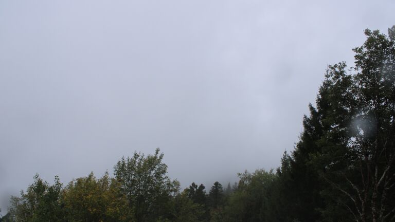 Dieses Bild zeigt eine Webcam-Aufnahme vom Achertal, aufgenommen am Sonntag, den 18.10.2026 um 12:00 Uhr. Die Temperatur betrug 7.2°C.