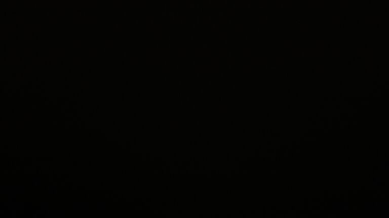 Dieses Bild zeigt eine Webcam-Aufnahme vom Achertal, aufgenommen am Freitag, den 09.01.2026 um 01:00 Uhr. Die Temperatur betrug 2.3°C.