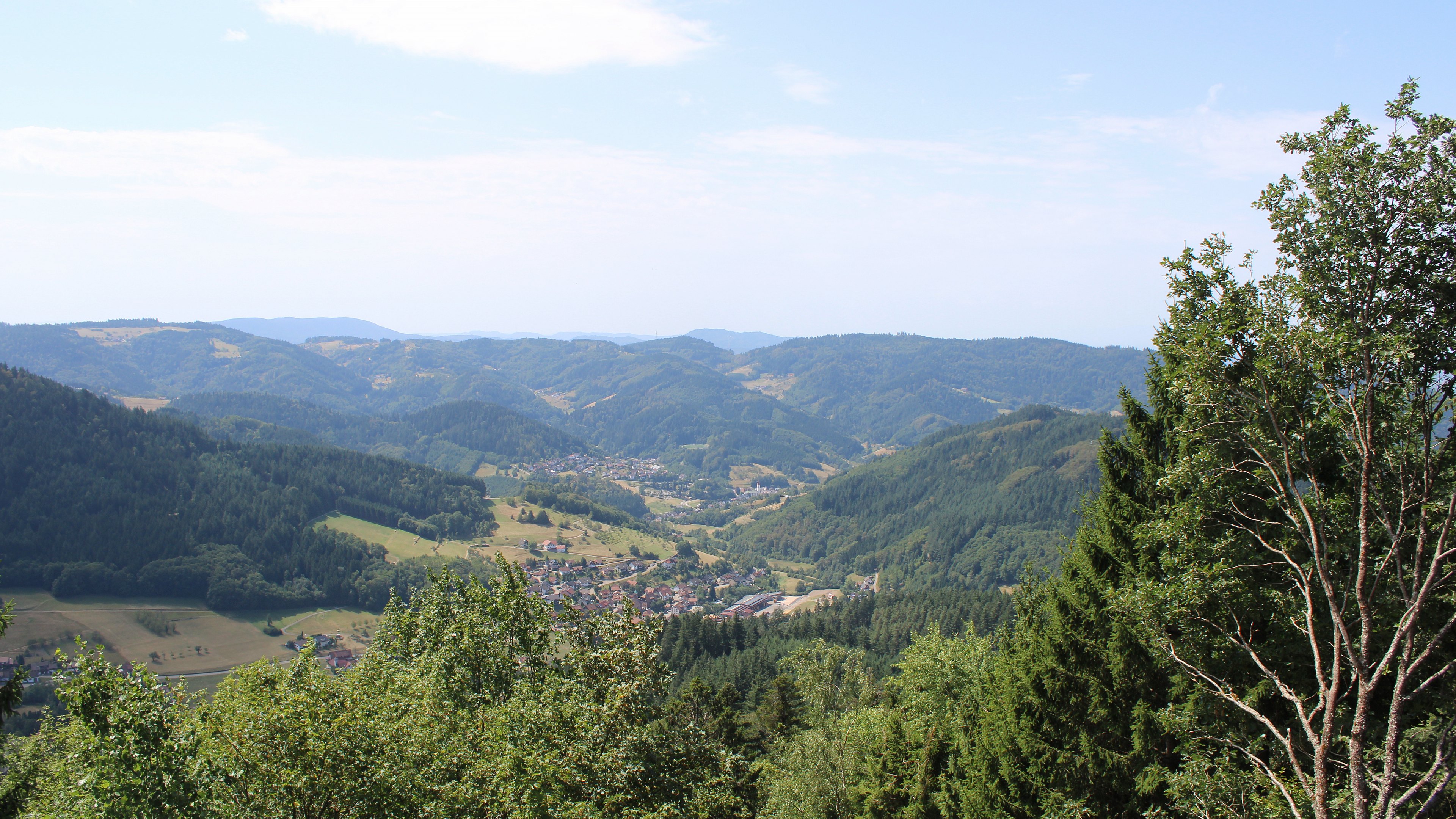 Zum Fotoarchiv vom Montag, 10. August 2026