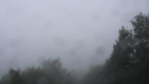 Dieses Bild zeigt eine Webcam-Aufnahme vom Achertal, aufgenommen am Mittwoch, den 16.09.2026 um 11:00 Uhr. Die Temperatur betrug 14°C.