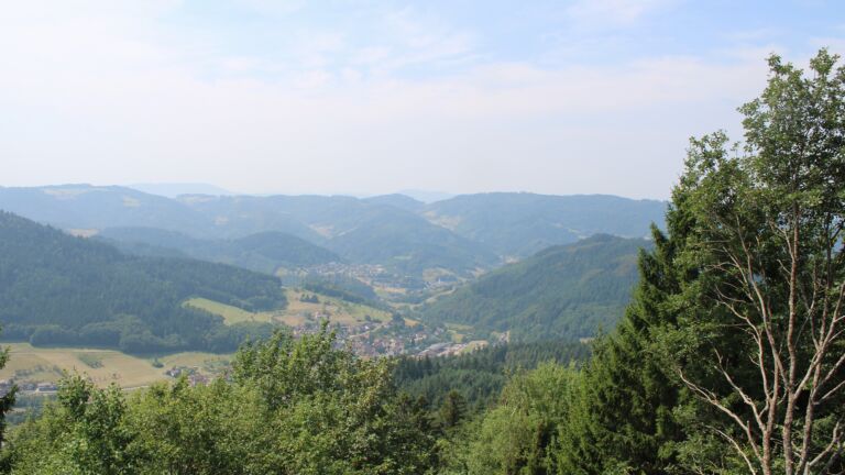Dieses Bild zeigt eine Webcam-Aufnahme vom Achertal, aufgenommen am Freitag, den 31.07.2026 um 12:30 Uhr. Die Temperatur betrug 29.7°C.