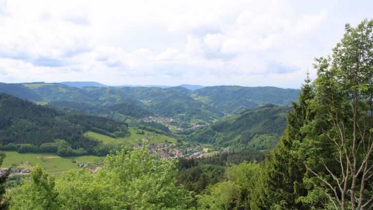 Dieses Bild zeigt eine Webcam-Aufnahme vom Achertal, aufgenommen am Dienstag, den 19.05.2026 um 12:40 Uhr. Die Temperatur betrug 15°C.