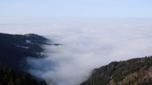 Dieses Bild zeigt eine Webcam-Aufnahme vom Achertal, aufgenommen am Sonntag, den 18.01.2026 um 11:30 Uhr. Die Temperatur betrug 6.5°C.