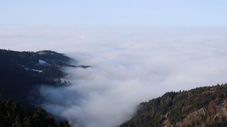 Dieses Bild zeigt eine Webcam-Aufnahme vom Achertal, aufgenommen am Sonntag, den 18.01.2026 um 11:30 Uhr. Die Temperatur betrug 6.5°C.